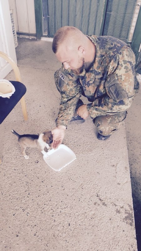 Stanis Zichler feeding a stray puppy while on deployment